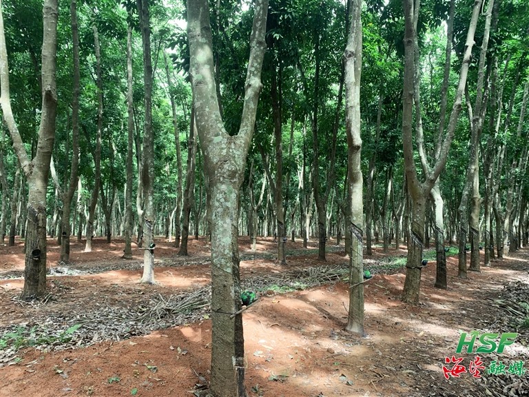 1701424589235049191.jpg 1701424589235049191.jpg