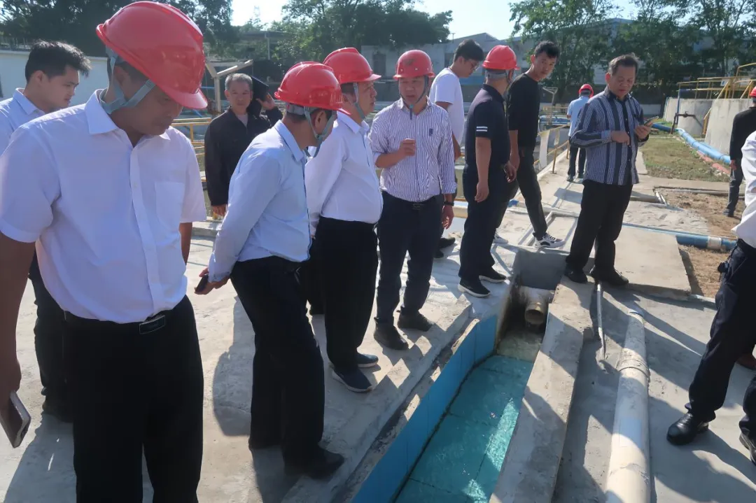 1733105954515069234.jpg 1733105954515069234.jpg